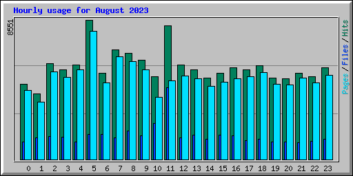 Hourly usage for August 2023