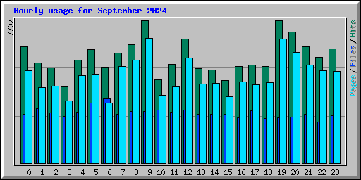 Hourly usage for September 2024